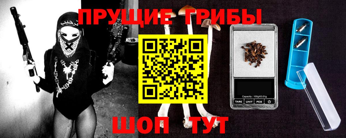 Дербент  Псилоцибиновые грибы MAGIC MUSHROOMS  Вход с VPN 